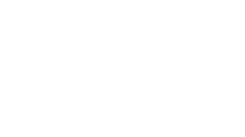 NVL Group